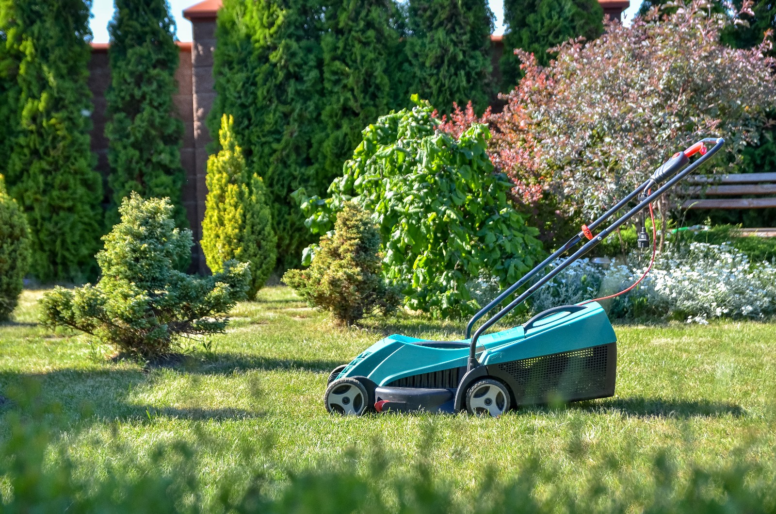 Rasenpflege leicht gemacht